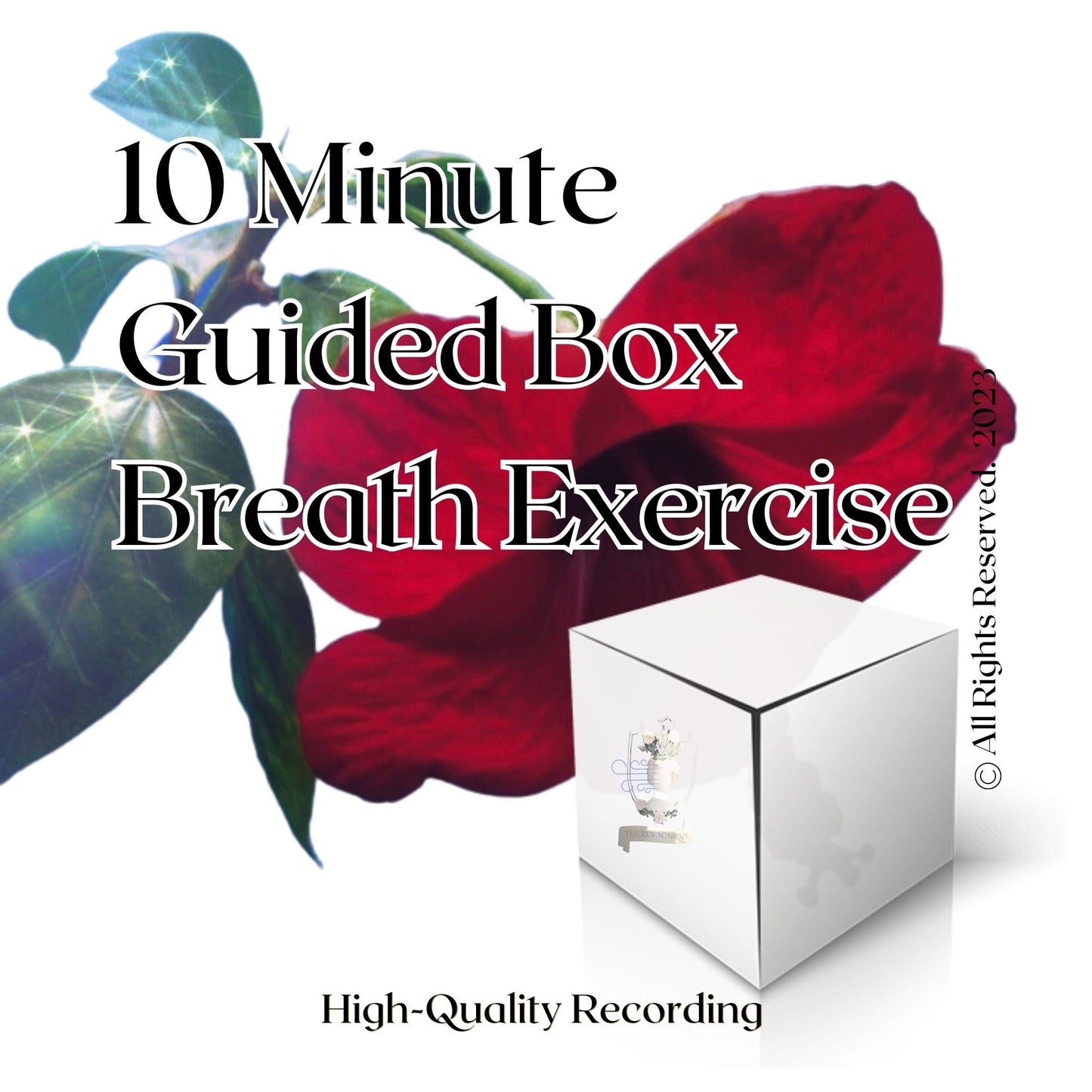 Guided Box Breath - Ten-Minute Breathing Exercise